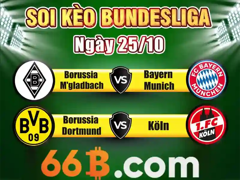 Trải nghiệm người dùng và phản hồi cộng đồng Trải nghiệm người dùng và phản hồi cộng đồng