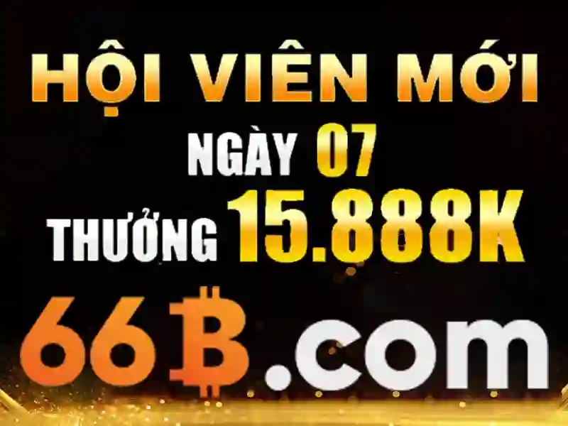 Giới thiệu về 66B