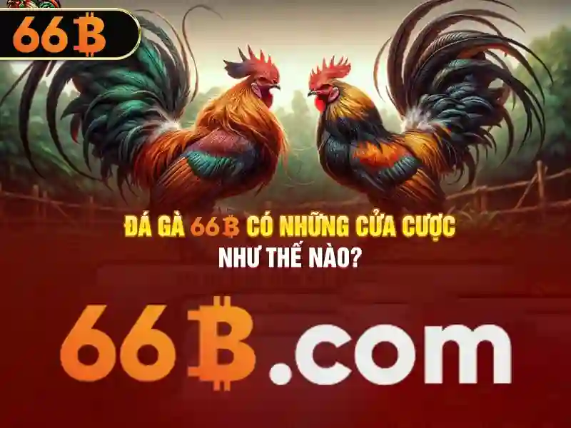 Đội ngũ hỗ trợ khách hàng 24/7 chuyên nghiệp của 66b