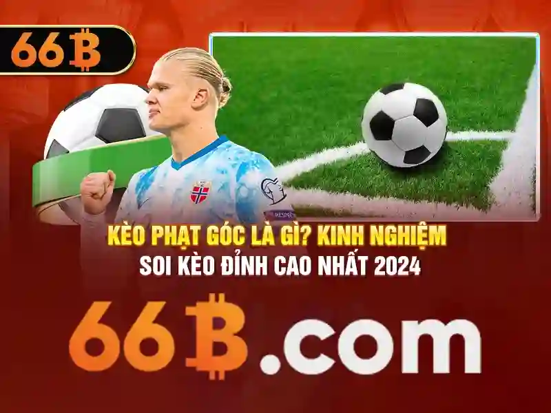 Ứng dụng thực tế và ví dụ điển hình