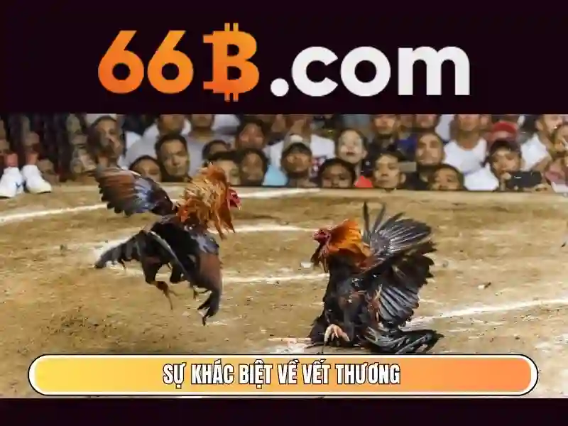 Tương lai của 66b và các mô hình lớn tiếp theo Tương lai của 66b và các mô hình lớn tiếp theo