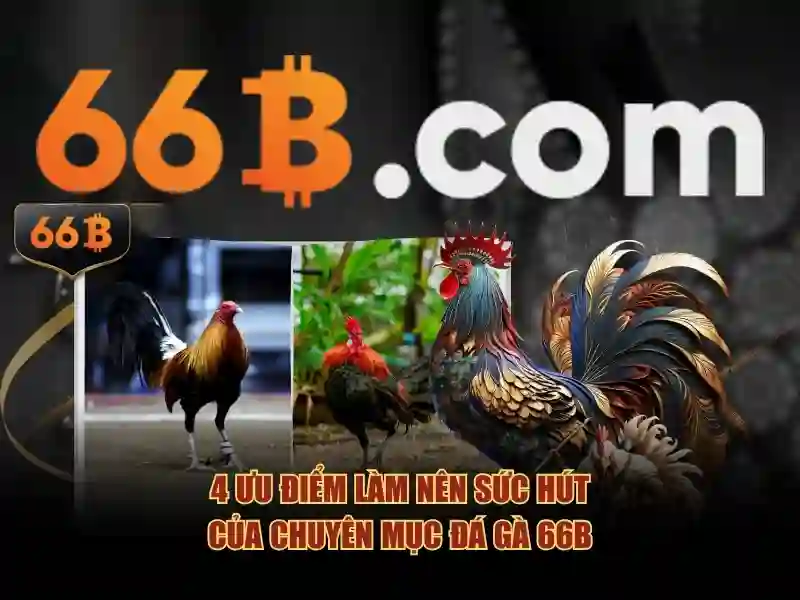 Ý nghĩa của 66b
