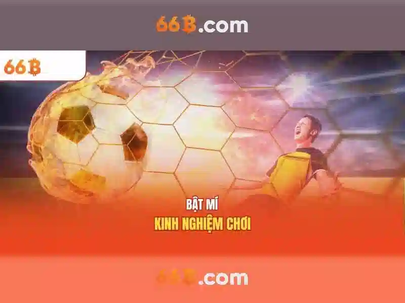 Kích thước và kiến trúc Kích thước và kiến trúc