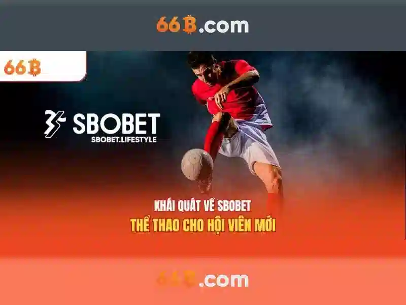 Kết luận Kết luận