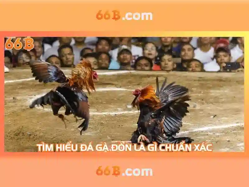 66b mới nhất: Xu hướng công nghệ và trải nghiệm
