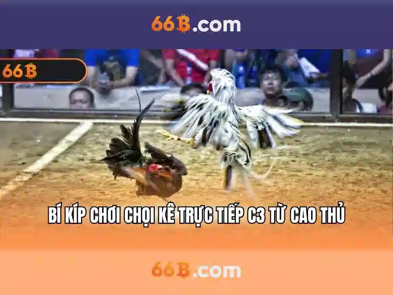 66B: một mô hình ngôn ngữ lớn cho kỷ nguyên AI