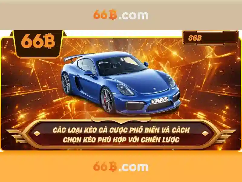 Nguồn gốc và sứ mệnh của chăm sóc khách hàng 66b