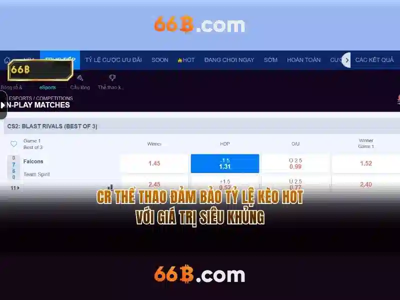 Giới thiệu về 66B Giới thiệu về 66B