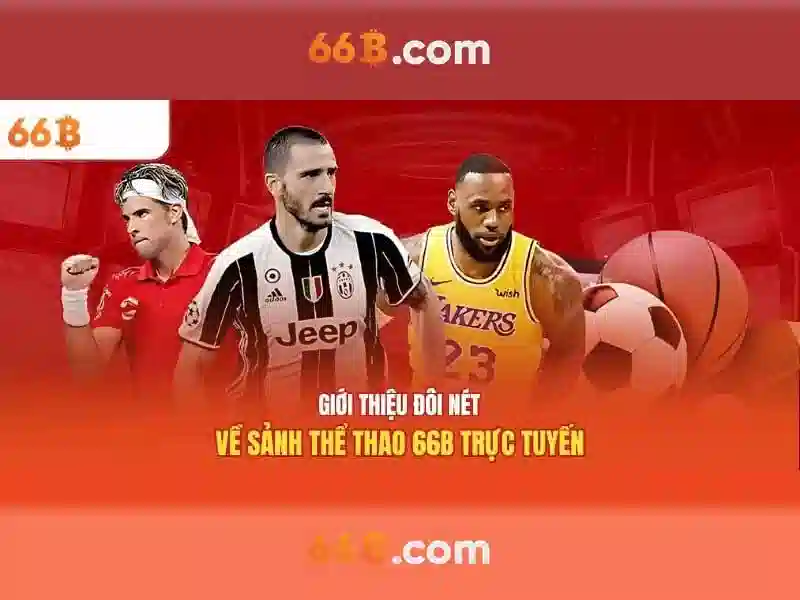 66b: Ý nghĩa, nguồn gốc và ứng dụng