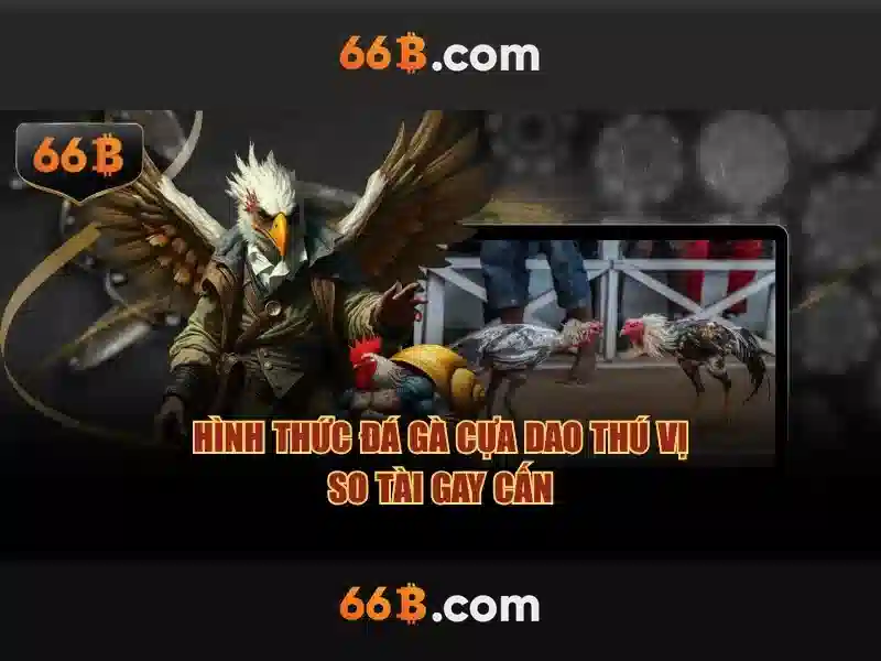 66b là gì? - Khái niệm và tiềm năng