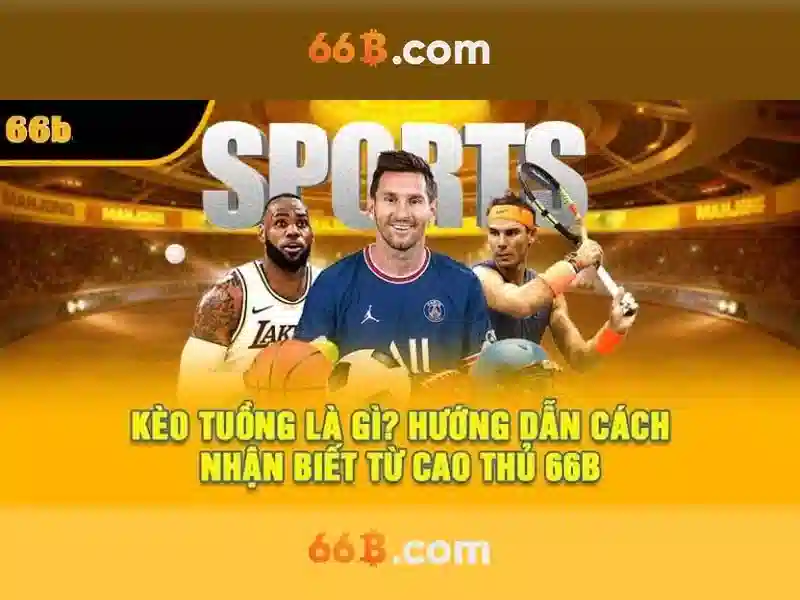 Tương lai của 66b và phạm vi nghiên cứu