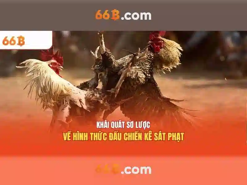 Giới thiệu về 66B Giới thiệu về 66B