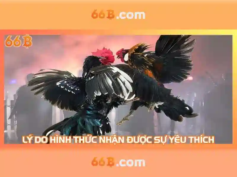 Goi moi lang cho tuong lai cua 66b