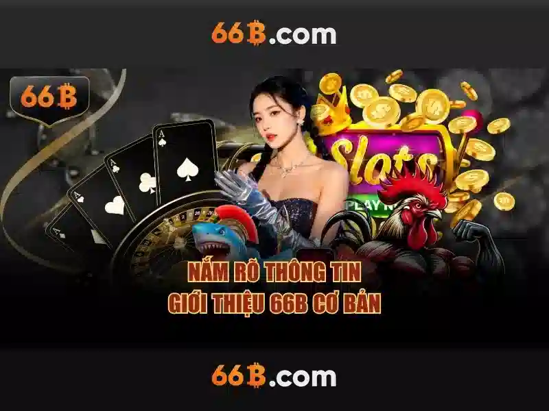 64b 66b – Hành trình đột phá và giá trị thương hiệu