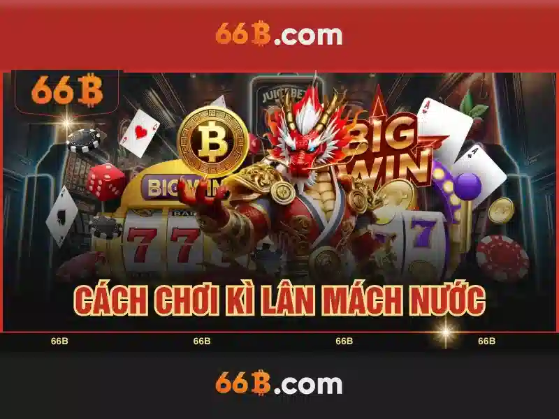 Giới thiệu về 66b và vai trò của nó\n\n