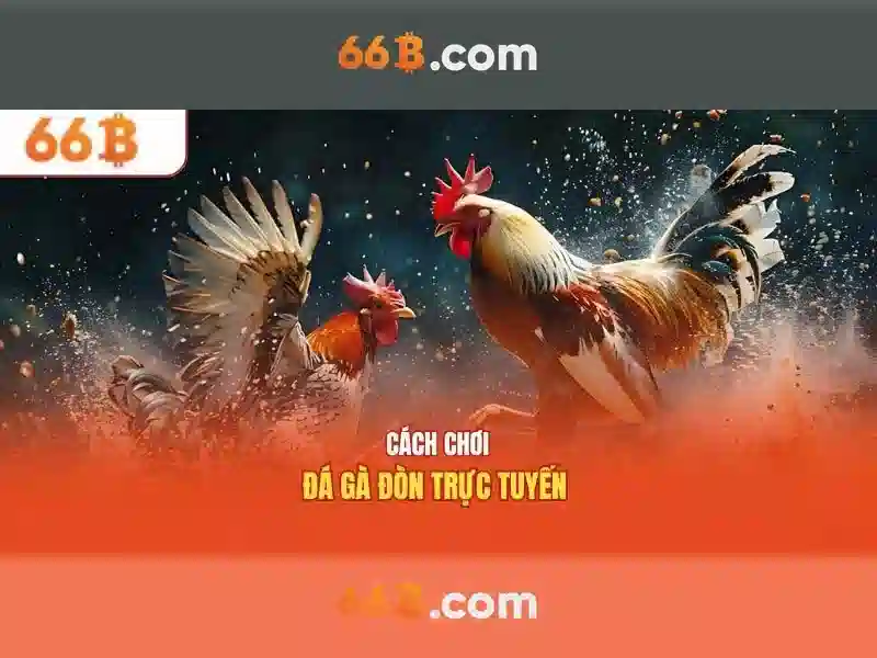 66b: tổng quan về một mô hình ngôn ngữ lớn
