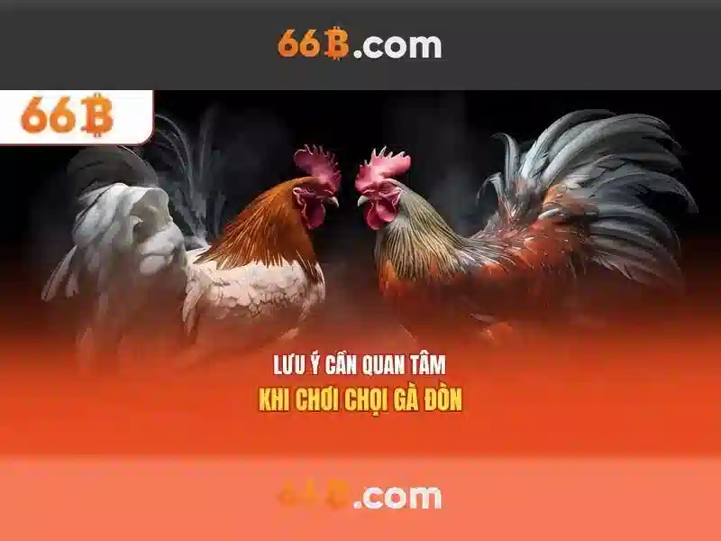 Kiến trúc và quy mô Kiến trúc và quy mô