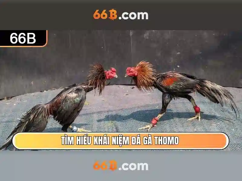 66b nguyễn sỹ sách p15 quận tân bình là gì – giới thiệu và ứng dụng