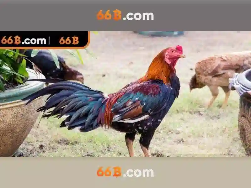 66B: Mô hình ngôn ngữ 66 tỷ tham số và ứng dụng