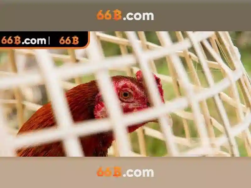 Về mô hình 66B: Đặc điểm và ứng dụng