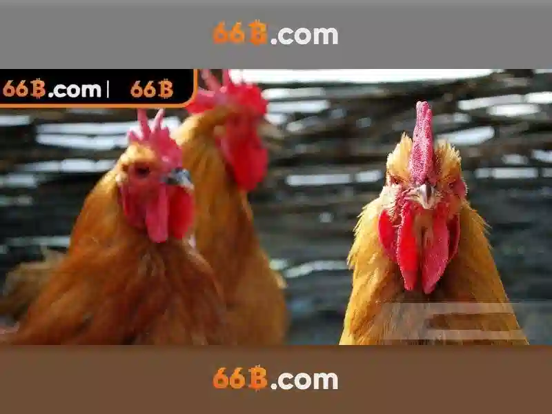 Cấu trúc và quy mô Cấu trúc và quy mô