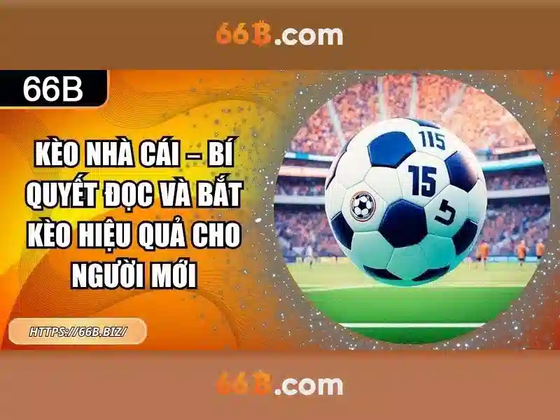 Cấu trúc và tham số của 66B\n\n