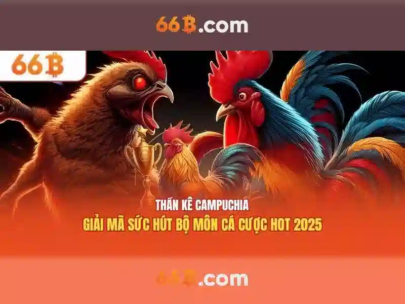 Ung dung va han che cua 66b trong that te