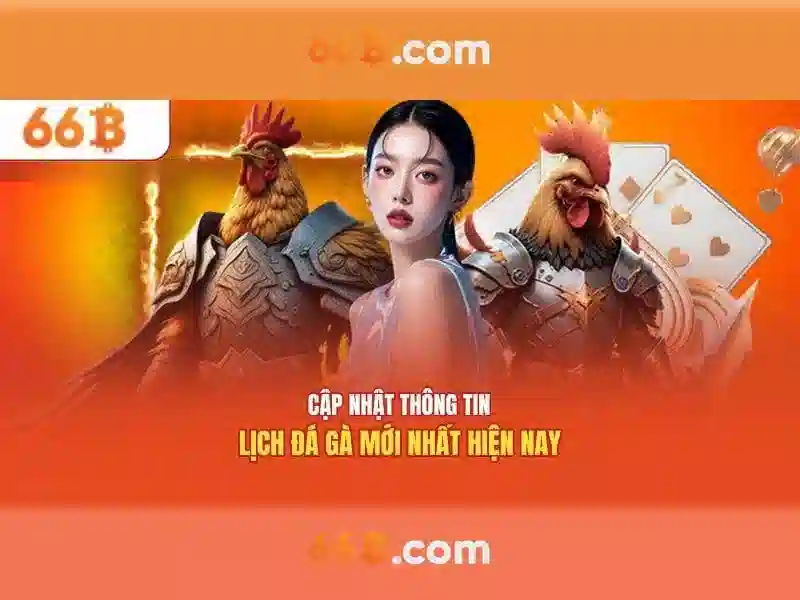 Khái niệm về 66b Khái niệm về 66b