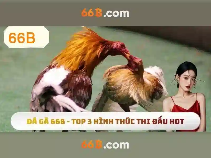 66b: Khai phá tiềm năng của công nghệ AI 66 tỷ tham số
