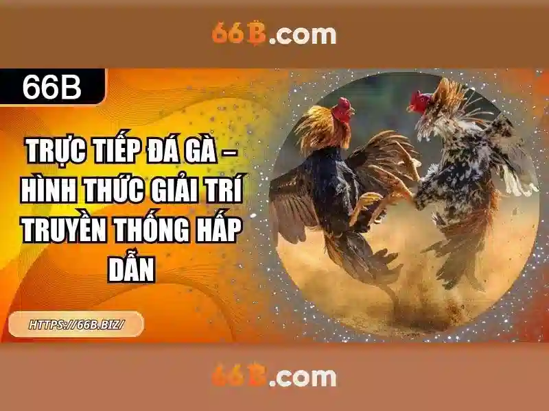 Kiến trúc và kích thước của 66B Kiến trúc và kích thước của 66B