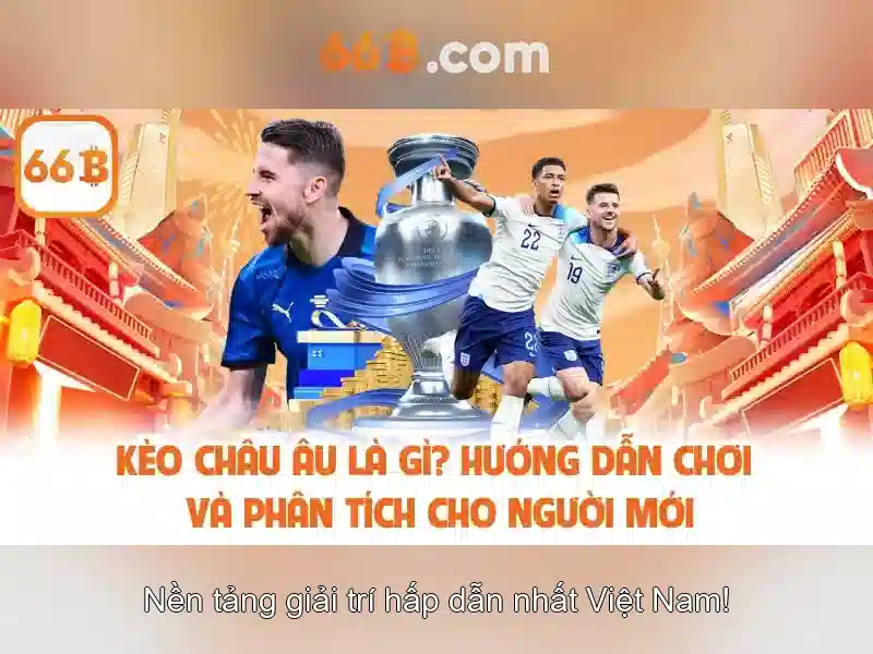 66B: Khái niệm, nguồn gốc và vai trò
