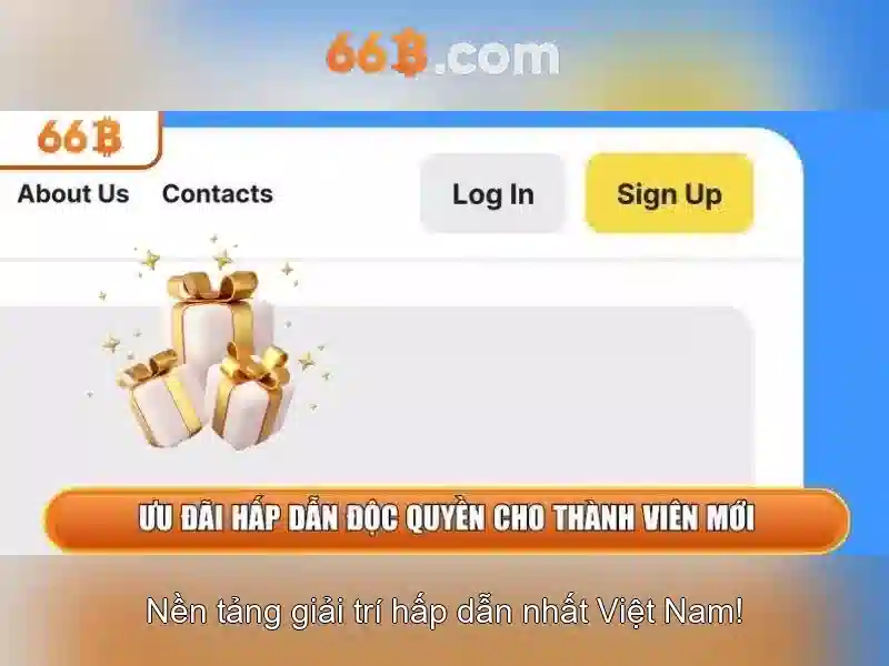 Cấu trúc và tham số của 66B Cấu trúc và tham số của 66B