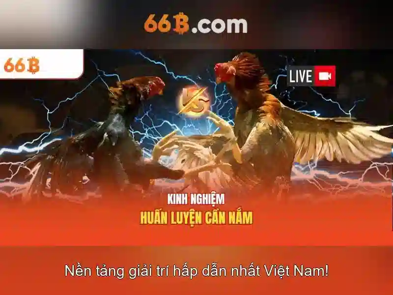 Mẹo chơi bắn cá 3 cây dễ ăn tiền nhà cái