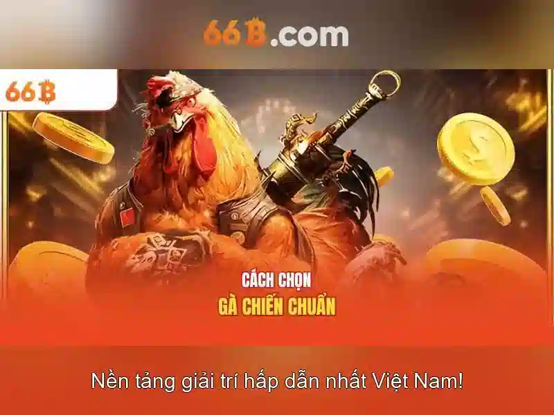 Sản phẩm và dịch vụ chính: ứng dụng thực tiễn
