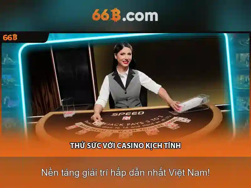 Trải nghiệm người dùng và phản hồi cộng đồng của 66b nguyễn sỹ sách p15 quận tân bình là gì