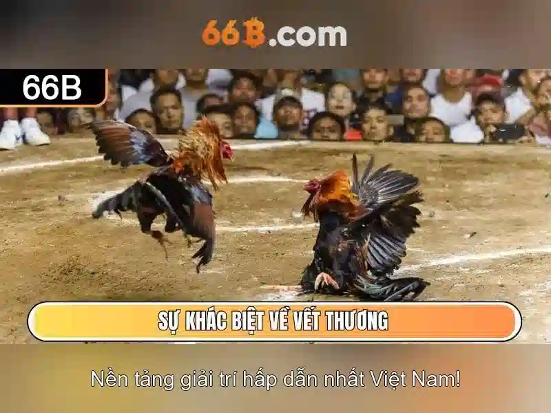 Giới thiệu về 66B