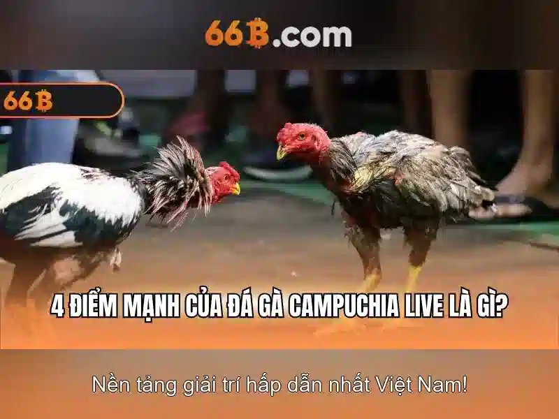 Kiến trúc và cách hoạt động của 66B