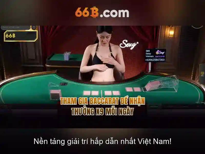Trải nghiệm người dùng và phản hồi của cộng đồng