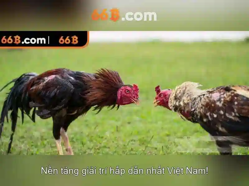 tải 66b – Tổng quan thương hiệu và hành trình phát triển