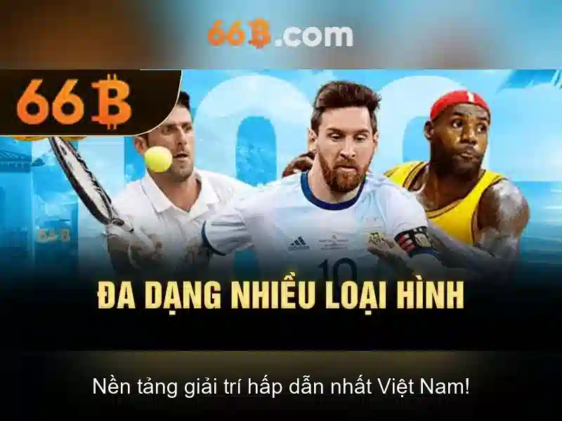 66b là gì?\n