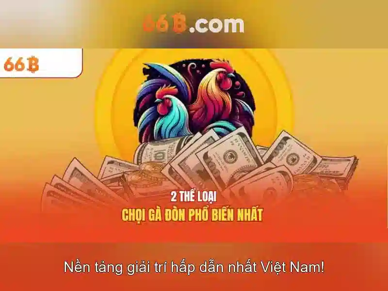 Đặc điểm nổi bật của 66B