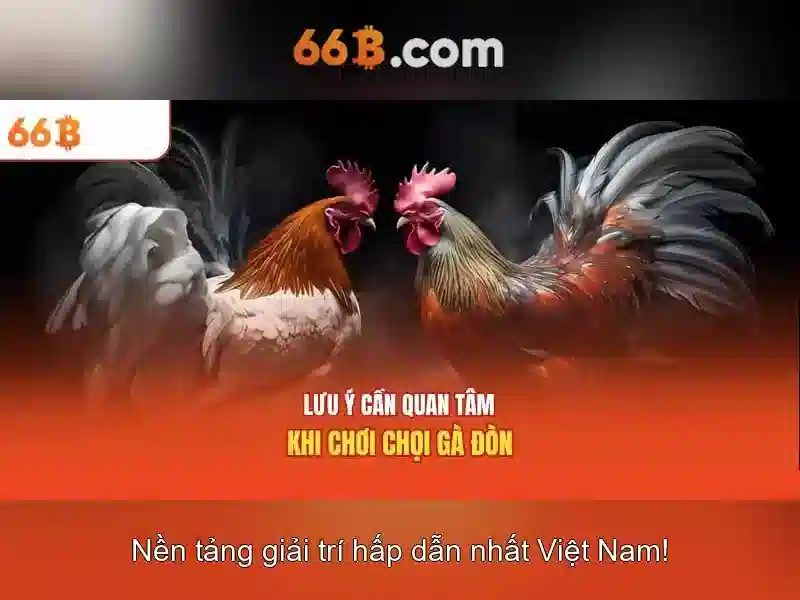 Ứng dụng tiềm năng Ứng dụng tiềm năng