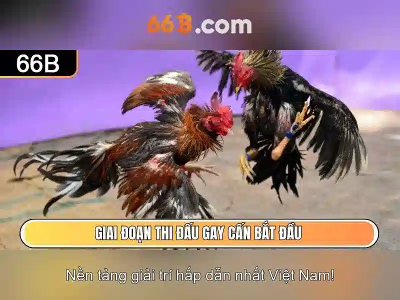Tiềm năng và giới hạn Tiềm năng và giới hạn