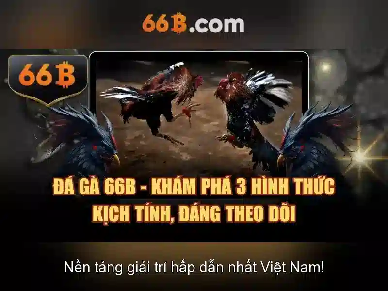 Tong quan ve tai 66b