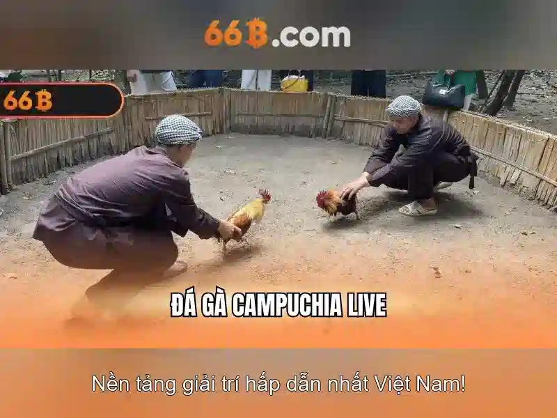 66b: Mô hình ngôn ngữ quy mô lớn và những điều cần biết