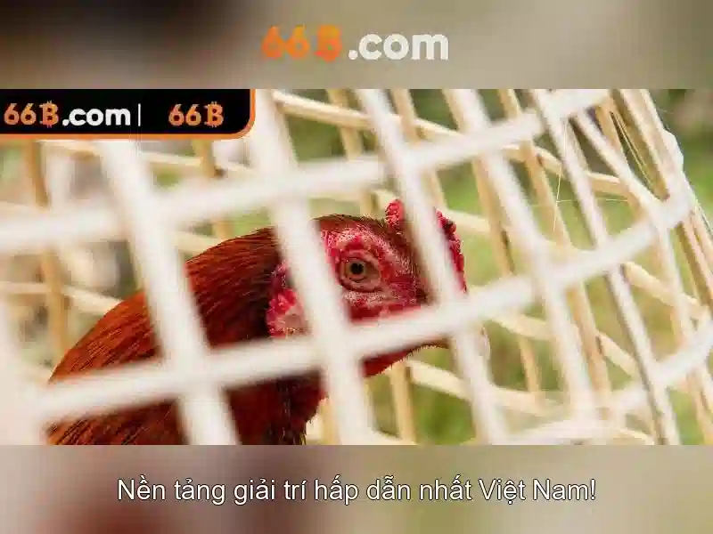 Mẹo chơi bắn cá 3 cây dễ ăn tiền nhà cái