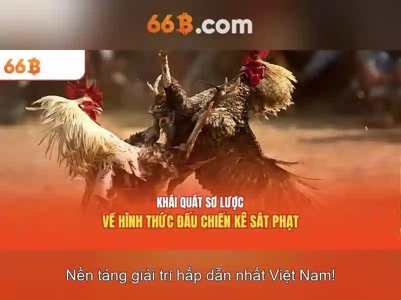 Lịch sử và nguồn gốc