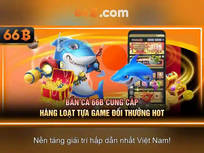 66b trong lịch sử và ý nghĩa\n\n