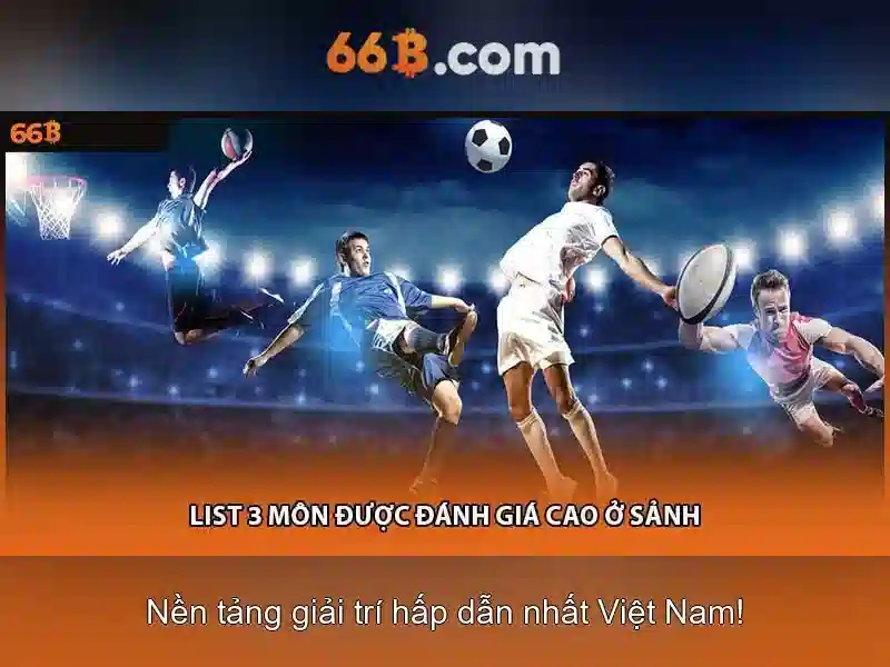 Cấu trúc và quy mô của 66b