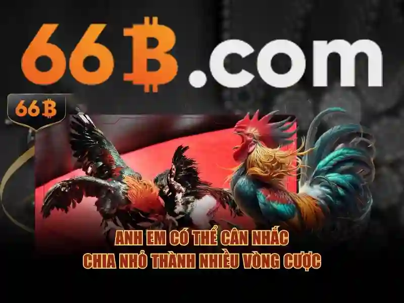 Ứng dụng thực tế